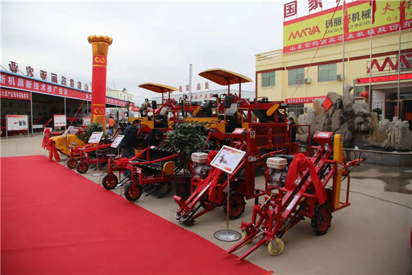 農(nóng)用大蒜播種機(jī) 農(nóng)用大蒜播種機(jī)
