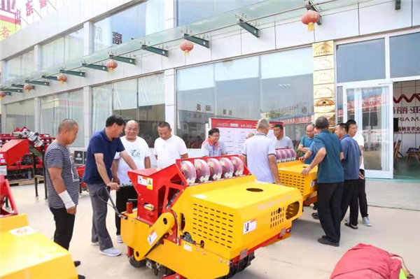 全自動大蒜播種機 全自動大蒜播種機